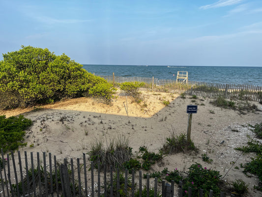 Exploration Trips 2025 | Part 1